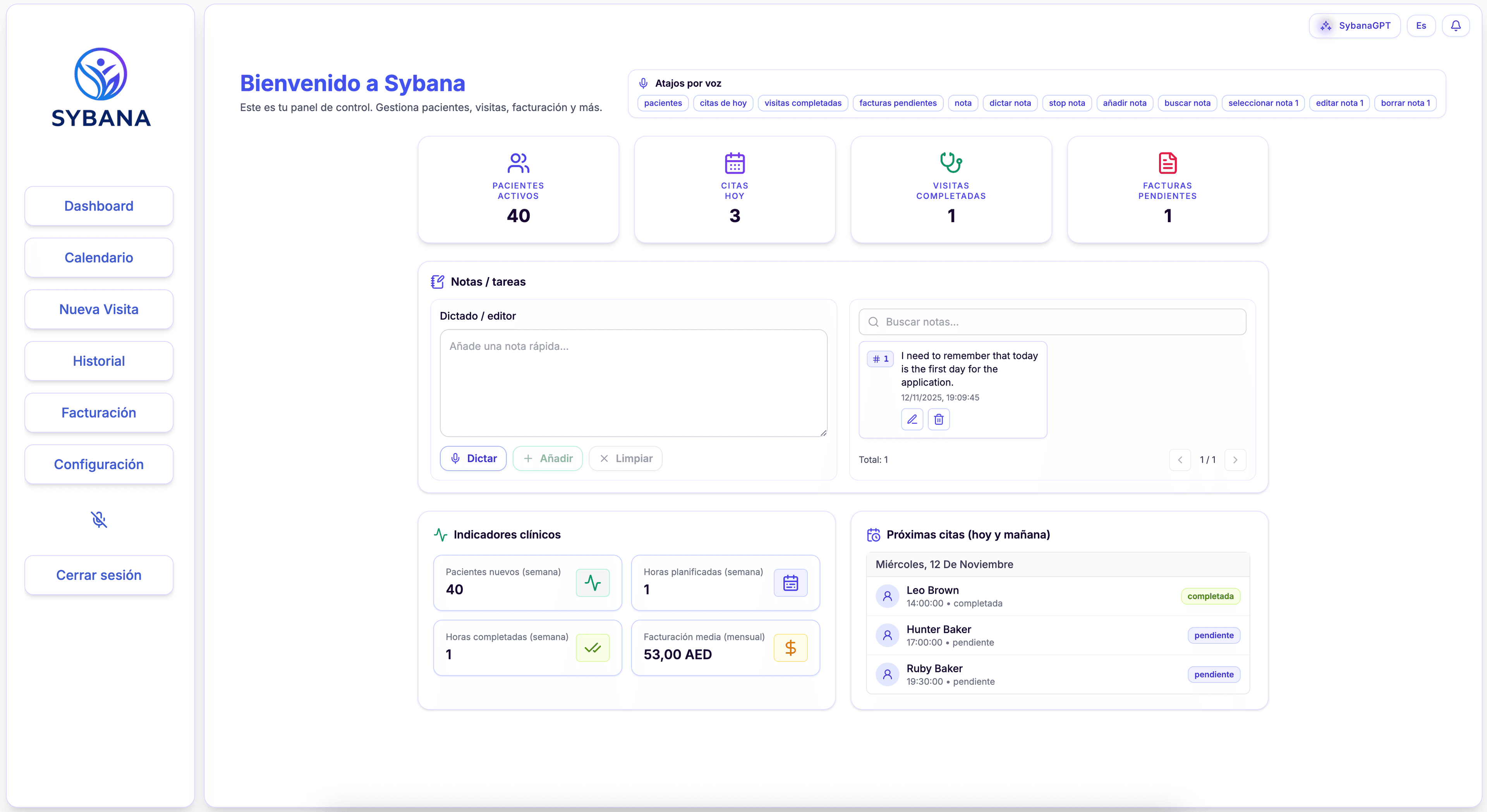 Interfaz de Sybana mostrando panel de pacientes